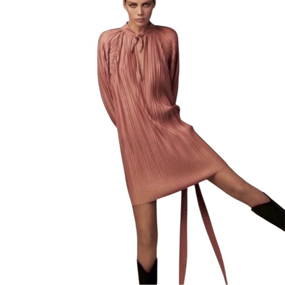 Zara Pleated Pink Pleated‎ Dress